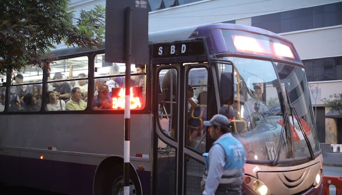 ¿Cuántos usuarios tiene el corredor morado al día?