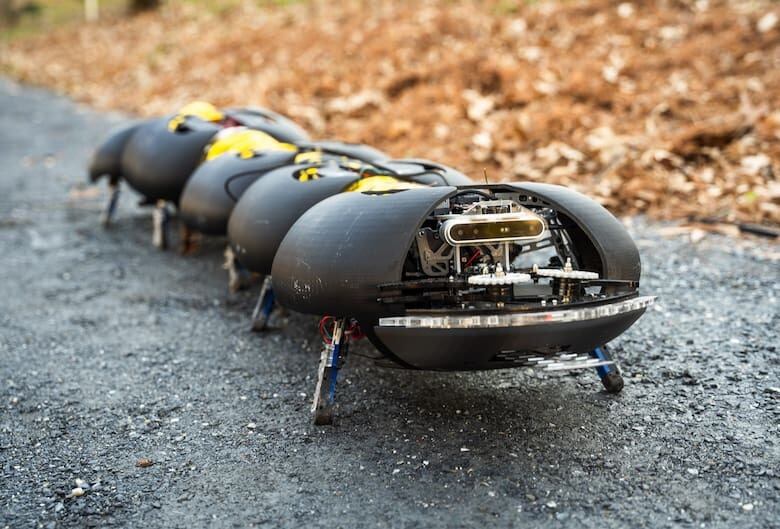 Un prototipo del robots ciempiés desmalezador para sacar yuyos de los cultivos creado por Ground Control Robotics.