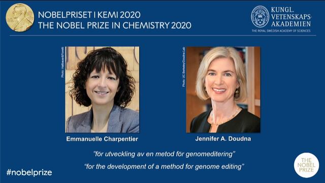 Dos mujeres genetistas ganan el Nobel de Química 2020 | VIDEO