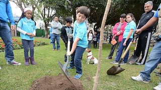 Familias de Miraflores plantan y adoptan árboles