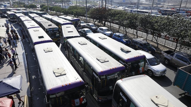 Buses con múltiples papeletas sin pagar reemplazan al corredor morado: crónica del regreso de la informalidad a las calles