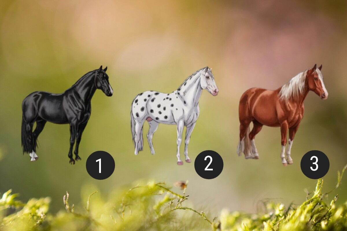 Escoge uno de los caballos en la imagen para descubrir tu rasgo más sobresaliente. (Imagen: El Comercio/Mag)