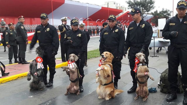 Brigada Canina de la Policía Nacional se robó el show en el desfile [Fotos y video]