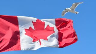 ¿Quieres migrar a Canadá como estudiante internacional? Te contamos cuánto cuesta y más detalles