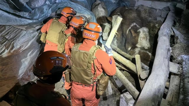 China: al menos 3 muertos tras un terremoto de magnitud 7,1