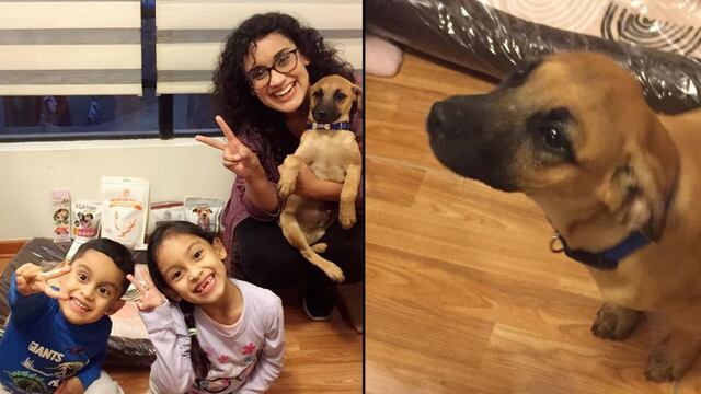 WUF: familia adopta perro de albergue para que crezca junto a sus hijos