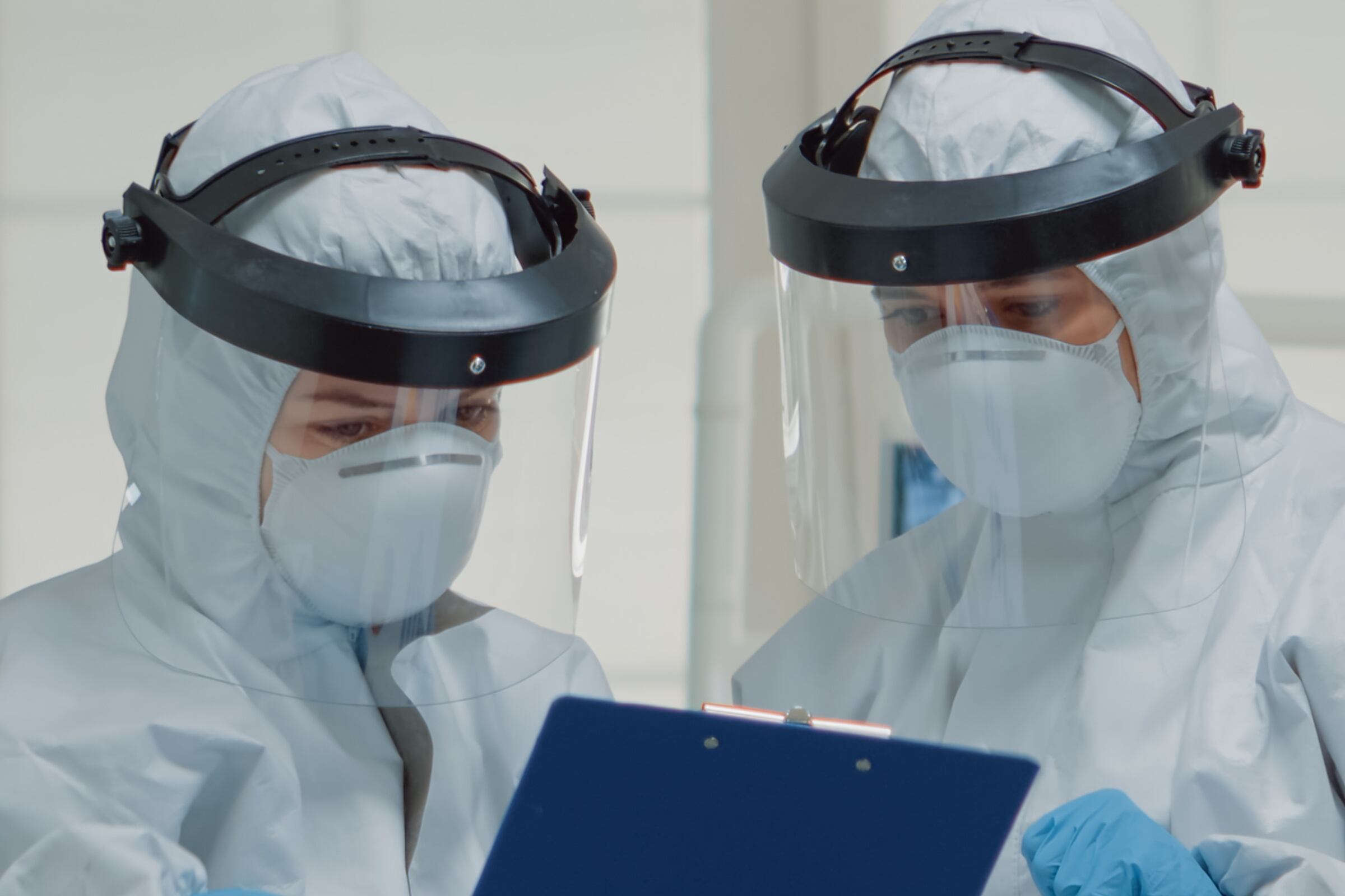 Una posible propagación de una peligrosa plaga ha despertado una gran preocupación en expertos (Foto: Freepik)