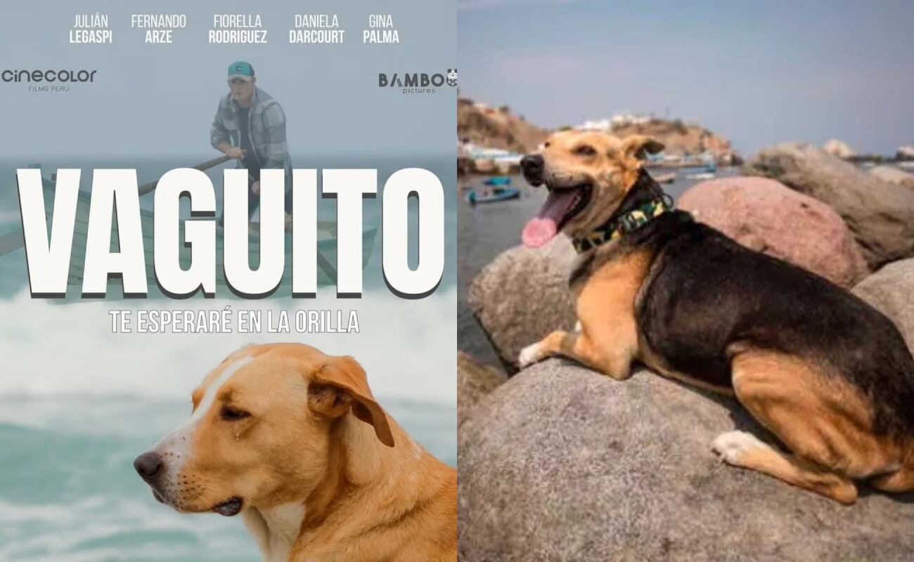 Vaguito 2: de qué trataría la segunda parte de la película que causa furor, según Alex Hidalgo