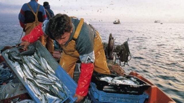 Se busca cerrar brecha de pescadores artesanales sin protección