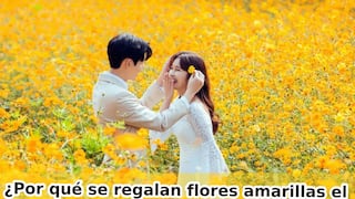 ¿Por qué se regalan flores amarillas en septiembre? Fecha, origen y significado