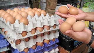 Precio del huevo subiría a más de S/ 9 el kilo, advierte Avisur