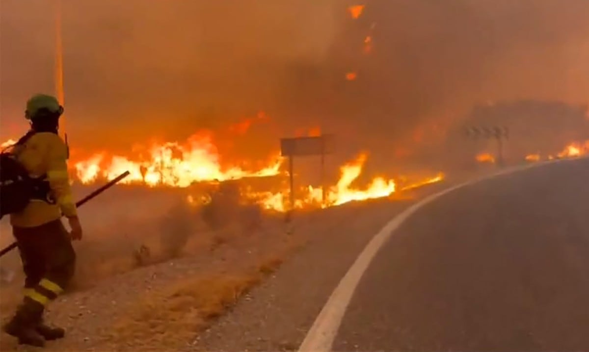 Los bomberos trabajando en un incendio forestal cerca de Bedar, en el distrito de Los Gallardos, en la provincia de Almería, el 10 de julio de 2026. (Handout / INFOCA / AFP)
