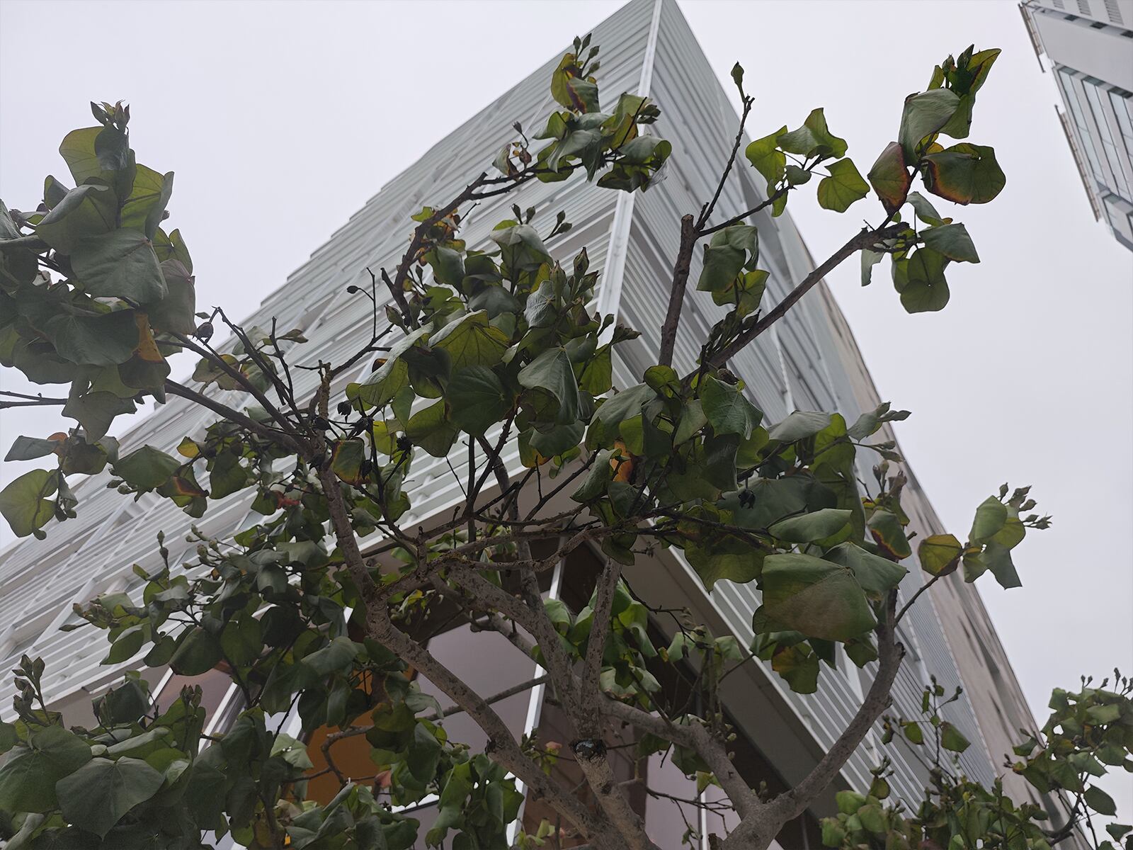 XIAOMI | Así toma las fotos el XIaomi 14 Ultra. (Foto: MAG - Rommel Yupanqui)