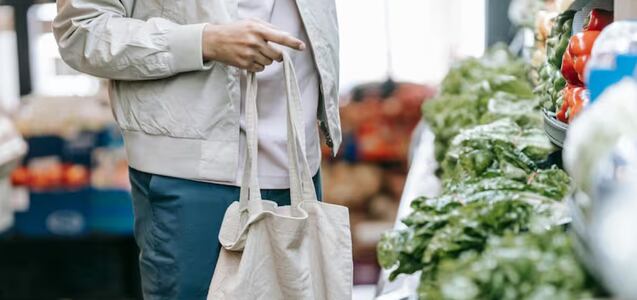 ¿Quiénes pueden acceder a los cupones de alimentos SNAP adicionales?