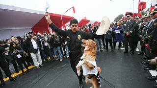 Gran Parada Militar y las imágenes que no viste del desfile