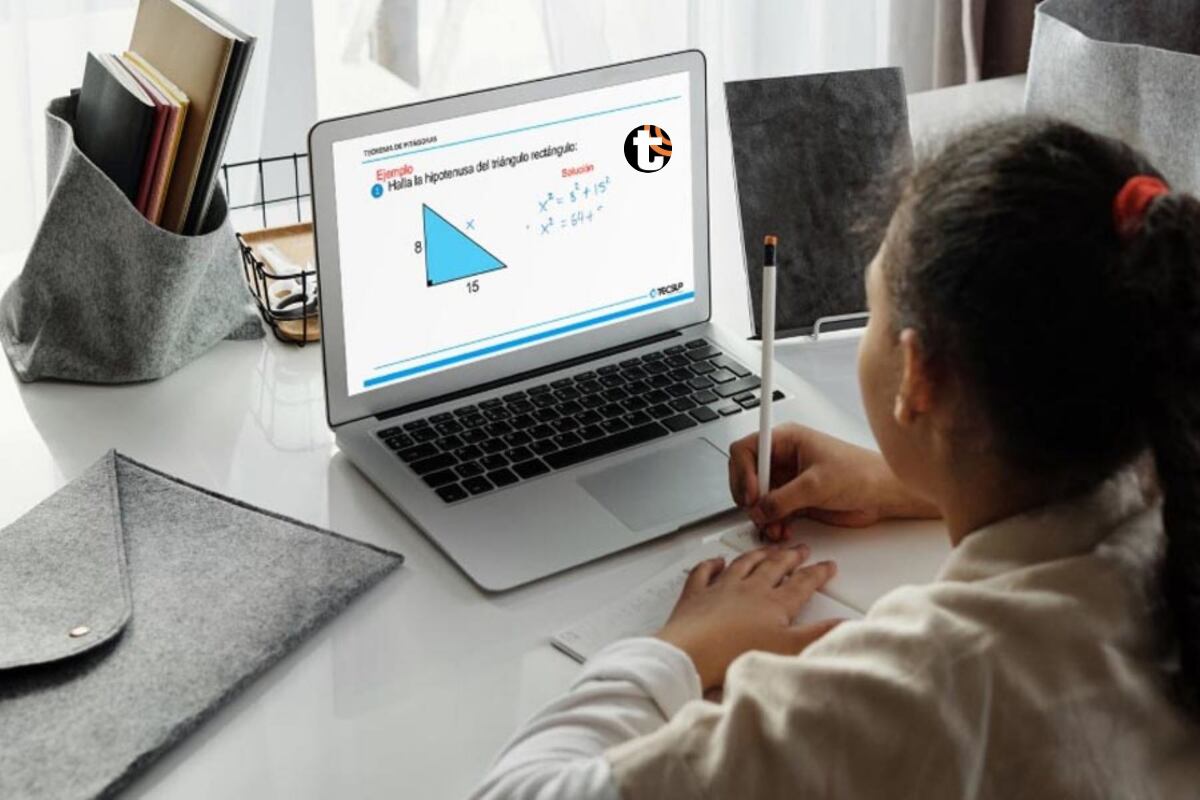 En los diferentes niveles educativos, desde el inicial hasta la secundaria, será necesario elaborar síntesis o escritos, según el nivel, que fomenten el desarrollo de la habilidad para argumentar. Foto: GEC