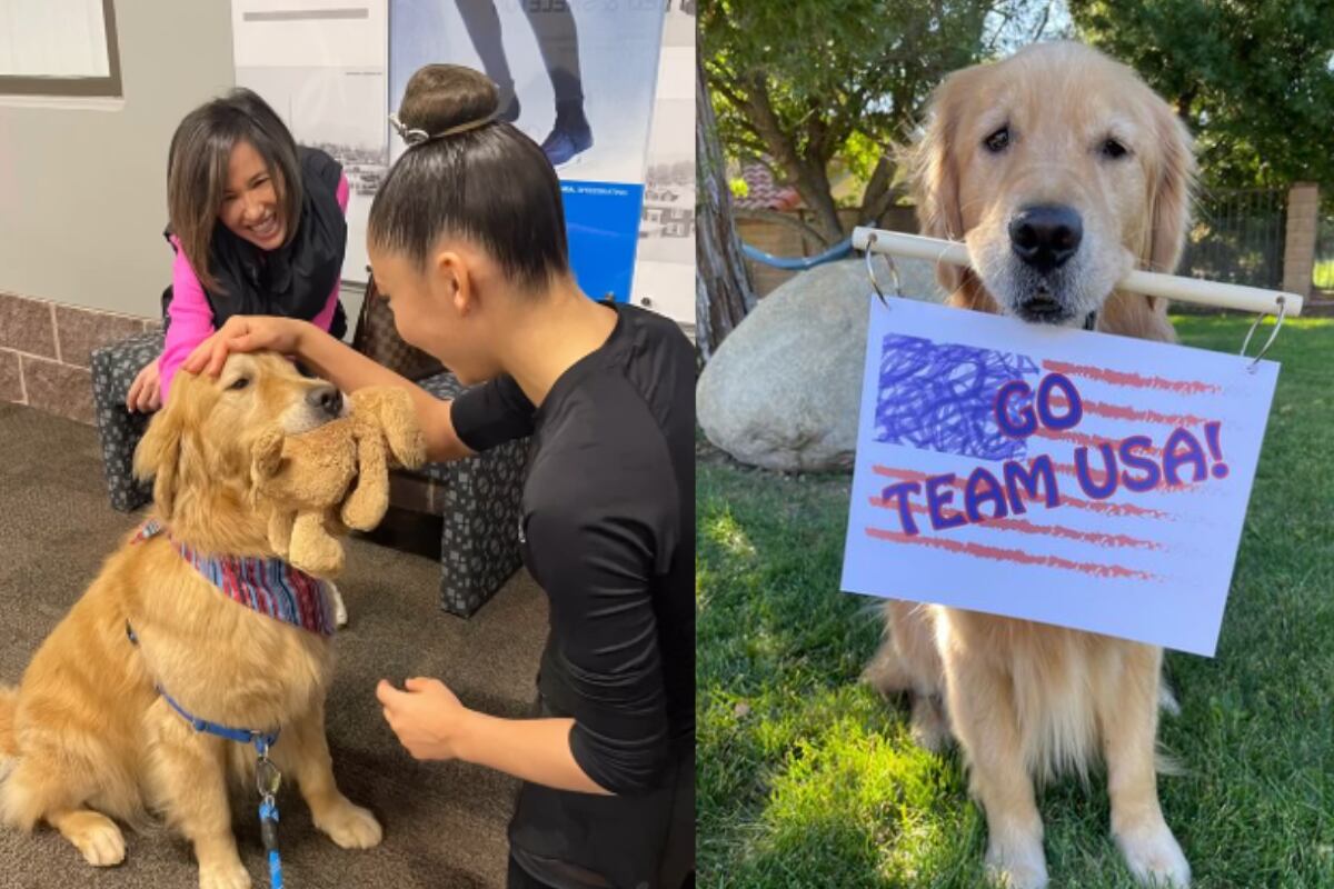 Beacon viajará con el equipo de USA Gymnastics a París para los Juegos Olímpicos de este año. (Foto: Instagram/goldendogbeacon).