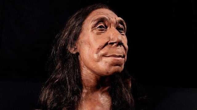 Revelan la cara de una mujer neandertal que vivió hace 75.000 años