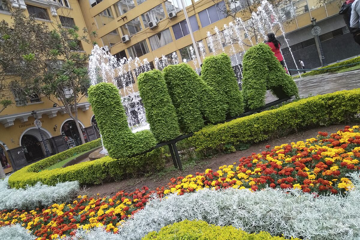 Foto tomada con el Honor 50 Lite. (Foto: Rommel Yupanqui)