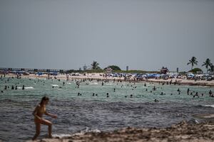 Al menos ocho muertes en Estados Unidos por una bacteria carnívora presente en el mar
