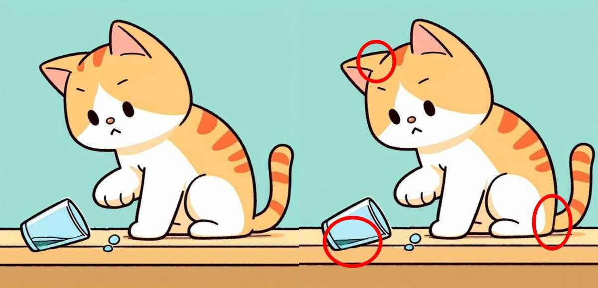 Únicamente los lectores muy atentos pudieron encontrar tres diferencias entre las imágenes de gatos en 12 segundos.