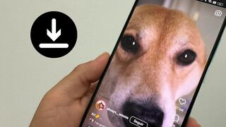 Cómo descargar Reels de Instagram sin necesidad de programas