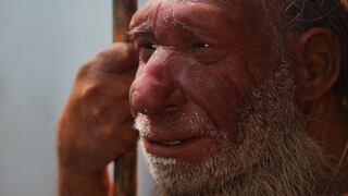 Piedra grabada en el Paleolíticoprueba la cognición de los neandertales