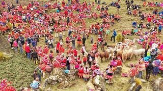 Perú: Queuña Raymi, una fiesta campesina para poblar de bosques las alturas del Cusco 