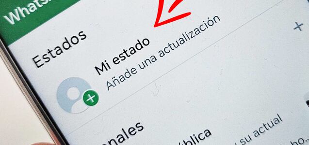 WhatsApp: cómo ver estados sin dejar el visto y saber quién visualizó los tuyos