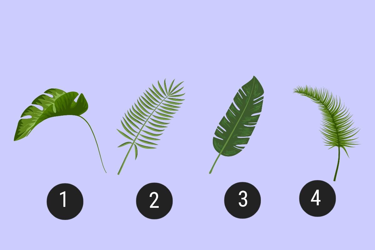 Una de estas hojas te revelará cuál es tu misión en esta vida. (Imagen: Mag / Klipartz)