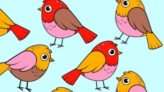 ¿Cuál es el pájaro diferente al resto? Tienes 12 segundos para identificarlo