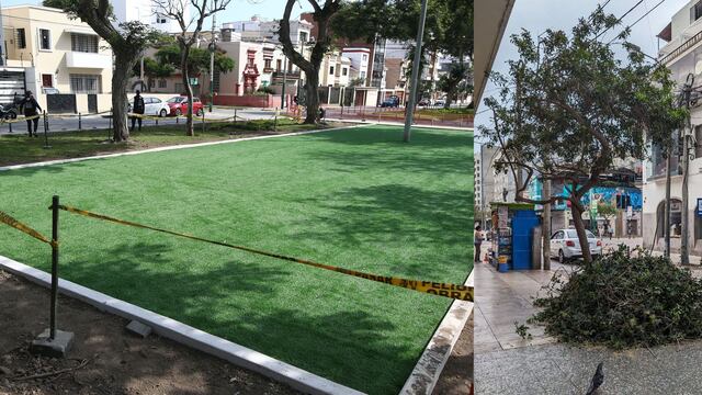 Ola de calor en Lima: ¿Por qué es tan perjudicial que reduzcan áreas verdes en Miraflores y Magdalena?