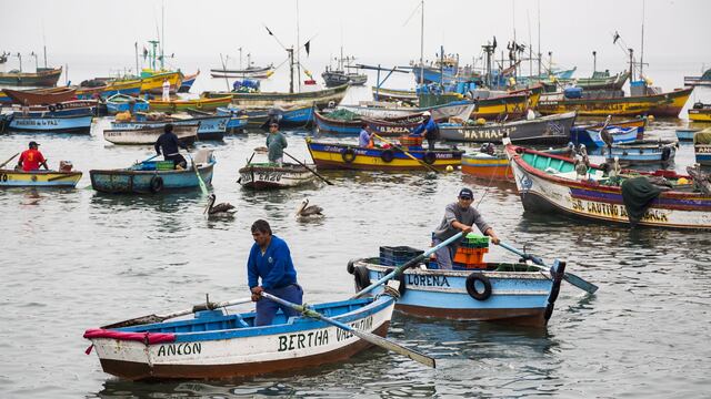 Perú: nuevo estudio indica que aumento explosivo de la flota artesanal ha empobrecido a los pescadores 