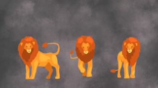 Seleccionando uno de los leones conocerás cómo se encuentra tu autoestima actualmente