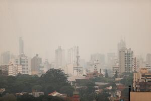 Humo de los fuegos en Amazonía alcanza grandes ciudades de Brasil y se expande por el continente