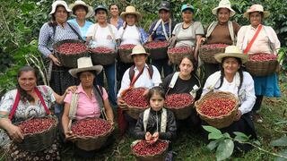 Café Femenino: la marca que está cambiando la vida de cientos de mujeres y se exporta a los principales mercados del mundo