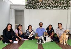 WUF presenta el Doguismo: una nueva filosofía para mejorar tu bienestar inspirada en los perros