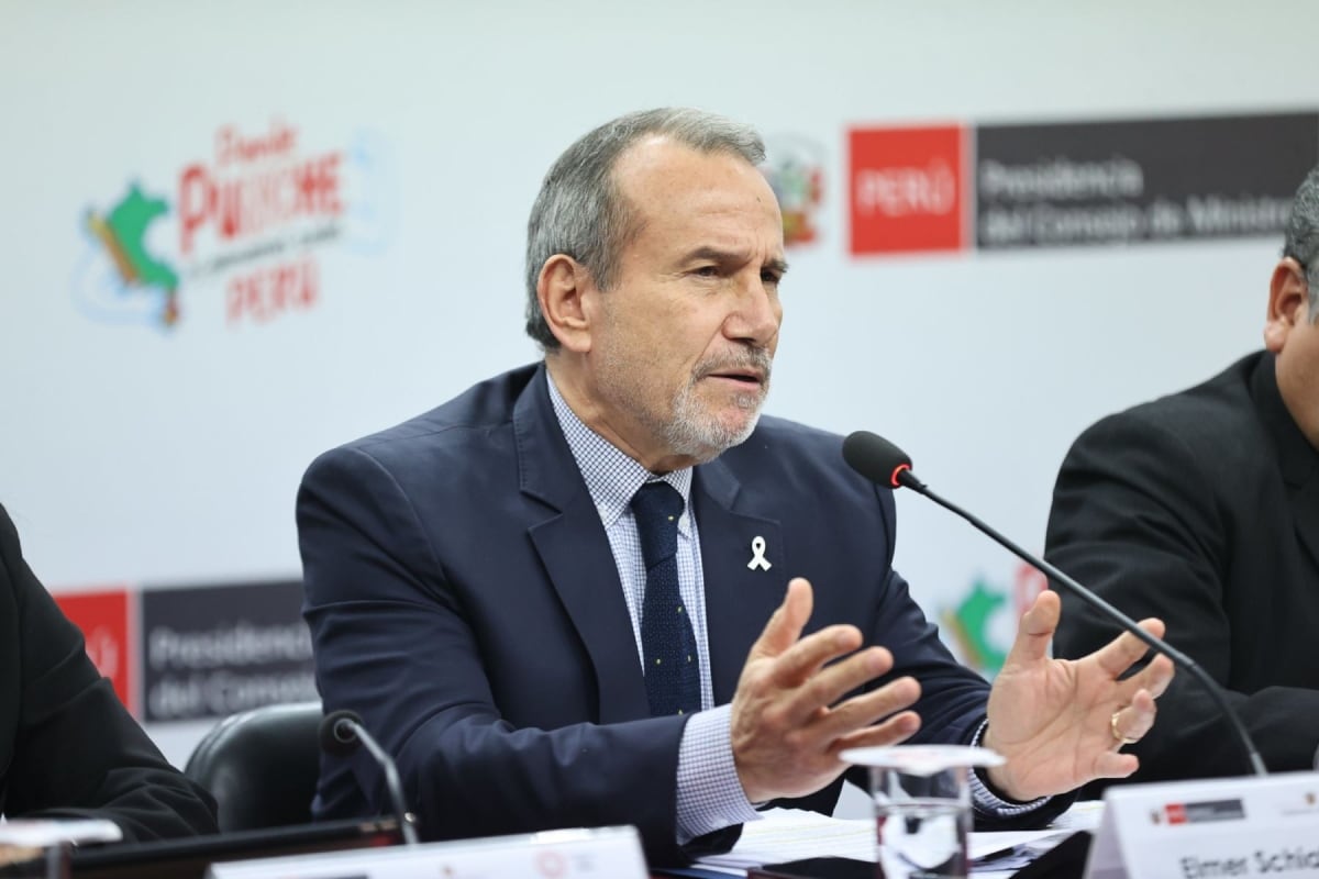 Resolución Suprema nombra a Elmer Schialer como representante del Perú ante organismos internacionales en Ginebra. (Foto: Andina)