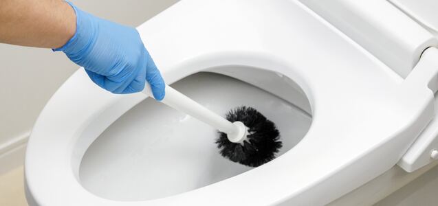 Este es el error más común al usar el cepillo del inodoro y cómo evitarlo