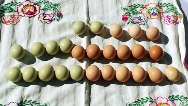 El misterio de los huevos verdes de Huánuco