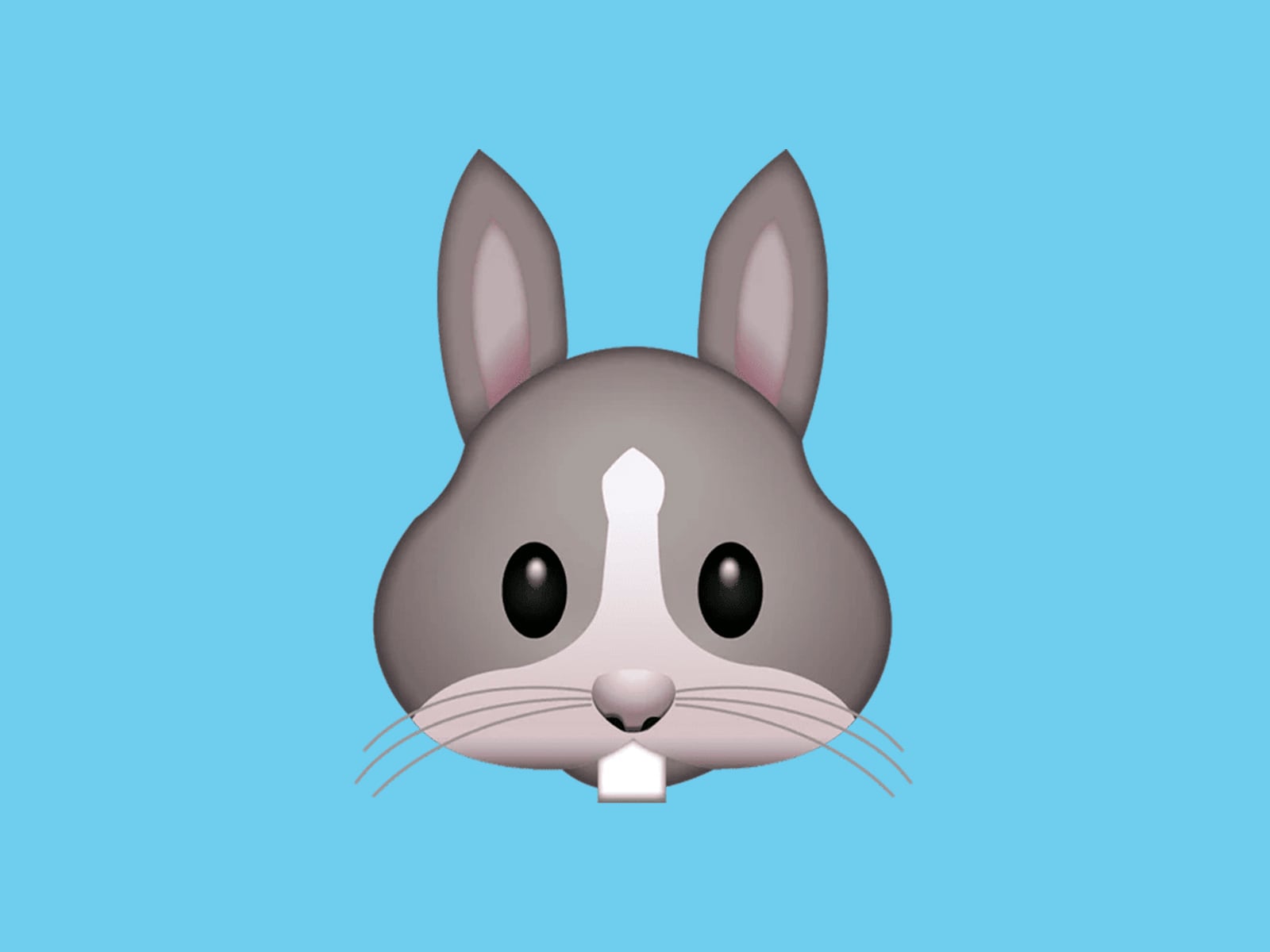 WHATSAPP | Aquí te presento todo lo que transmite el emoji del conejo en tus conversaciones de WhatsApp. (Foto: Emojipedia)