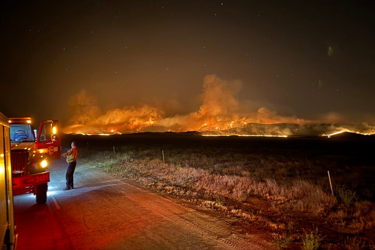 Un incendio denominado Madre, en una zona montañosa del bosque nacional Los Padres, en el condado de San Luis Obispo, al norte de Los Ángeles, en California, el 3 de julio de 2025. (Foto del Departamento de Bomberos del Condado de San Luis Obispo)