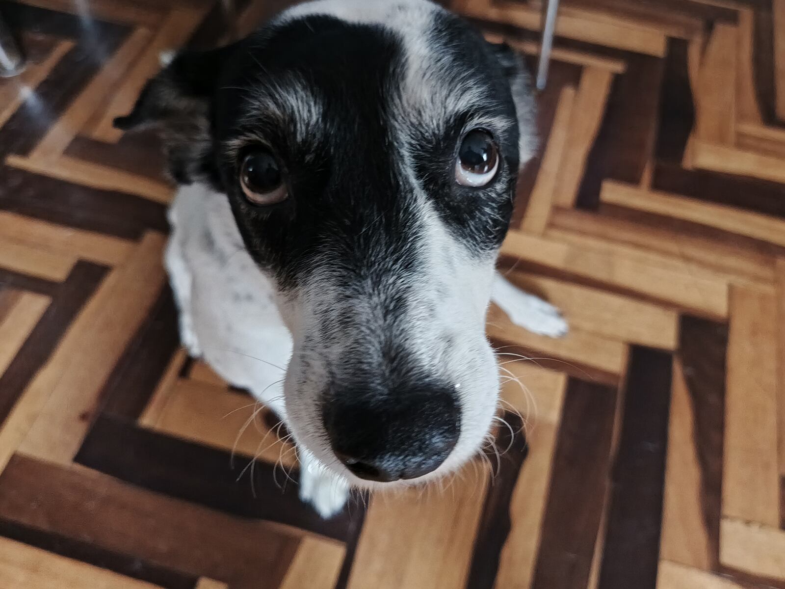 Así toma las fotos el Infinix Note 40 Pro. (Foto: MAG - Rommel Yupanqui)