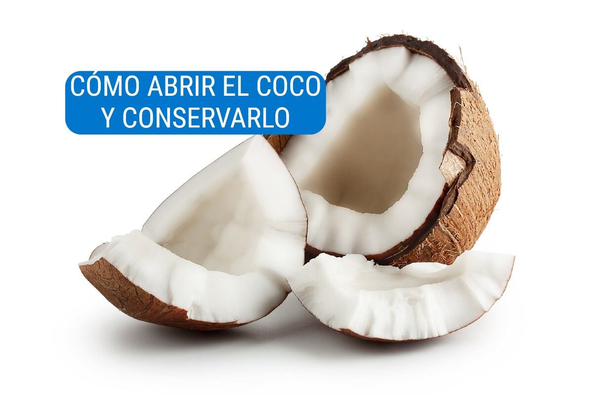 El coco es una de las frutas más versátiles y muchas personas tienen dificultades para abrir la cáscara. (Foto: Pixabay/miguelcruz30).