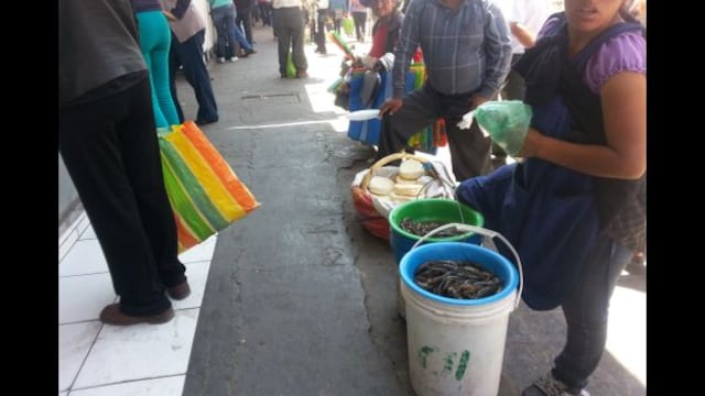 Arequipa: comerciantes venden camarones de río pese a veda 