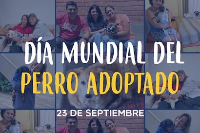 WUF: Día del Perro Adoptado, cuando un sí cambia dos vidas