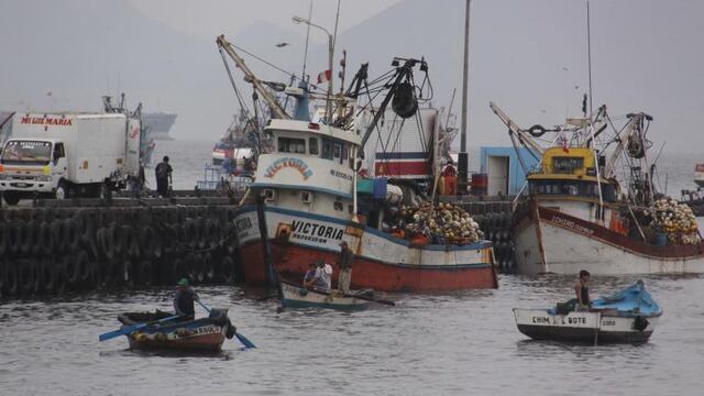 Amplían vigencia de permisos de pesca para cooperativas pesqueras hasta el 30 de septiembre de 2024