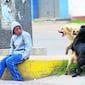 Maltrato animal en Perú: ¿cuánto dinero podrías pagar si cometes esta falta?