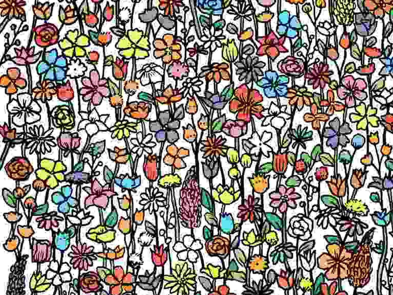 RETO VISUAL | Esta imagen te muestra muchas flores. Entre ellas, hay 5 mariposas. (Foto: dudolf.com)