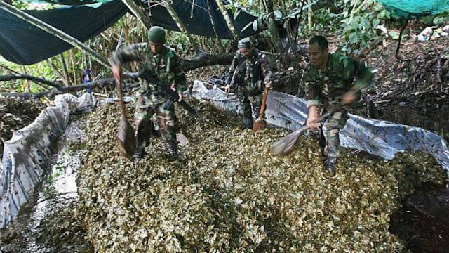 Gobierno busca erradicar 22 mil hectáreas de coca ilegal el 2013